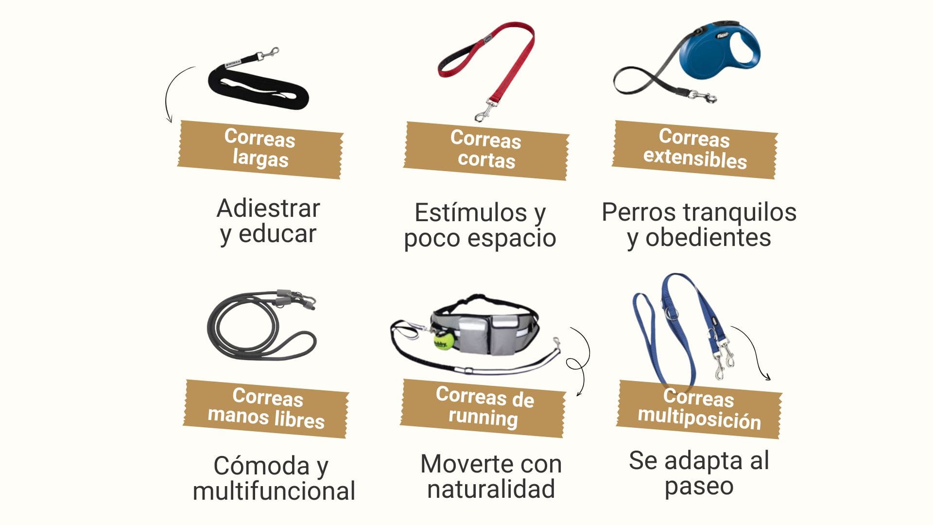 Tipos de correas para perros